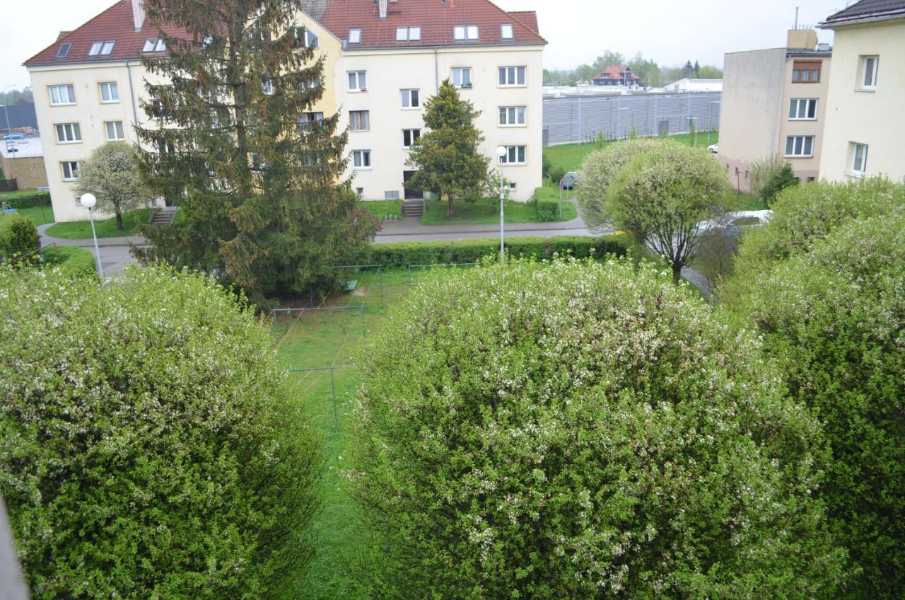 Room In Třeboň المظهر الخارجي الصورة